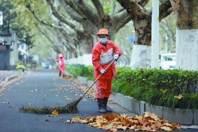 11月21日，鼓楼区环卫工人在北京西路清扫落叶。受北方冷空气影响，我市迎来降雨降温，路上落叶猛增，环卫工清晨就到岗开始清扫落叶。 南报融媒体记者 徐琦摄 