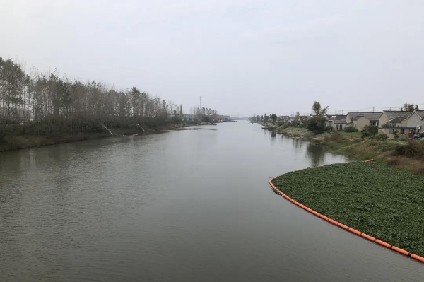 ▲新垛镇开展河道精细化管理水质提升之后的雌港河水清岸绿