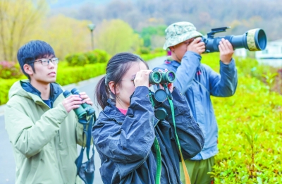 南京生物多样性调查组专家正在观测.南报融媒体记者 董家训摄