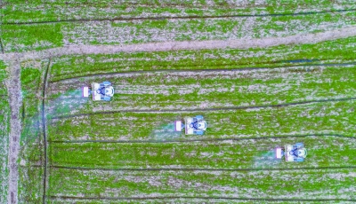 昨天，农民在六合区金牛湖街道一处家庭农场的地里机械化施肥，加大麦田除草和病虫害防治,田间地头一片繁忙景象。 通讯员 杜森 南京日报/紫金山新闻记者 董家训 摄