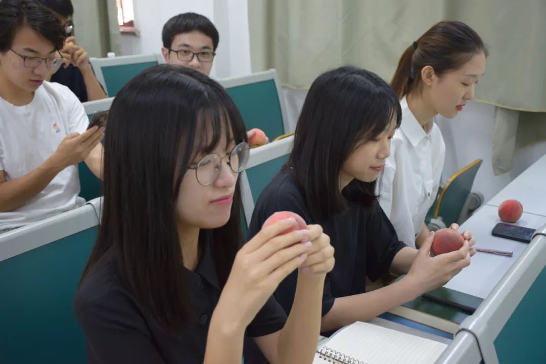 图片			在南京农业大学一堂“有机（类）肥料与农业绿色发展”为主题的院士公开课上，在场学生人手一只院士团队试验基地的桃子。