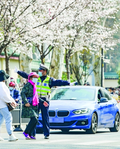 樱花盛开时节，交警一大队民警在鸡鸣寺维护交通秩序。通讯员 李飘羽 南京日报/紫金山新闻记者 王茸 摄