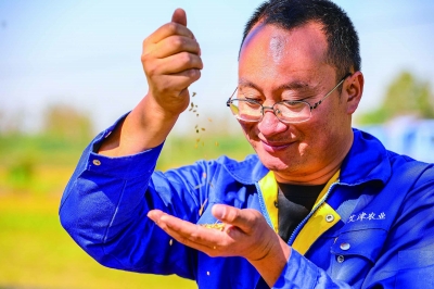 六合艾津稻园工作人员正在抽样检查收割上来的水稻。