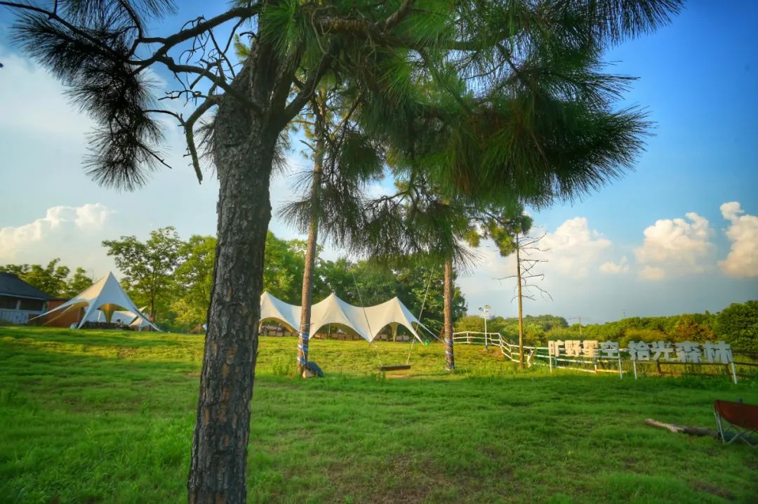 曠野星空·拾光森林綜合度假基地露營地風景。受訪者供圖