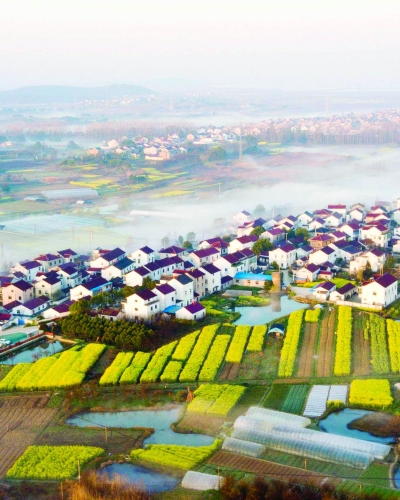 清晨，阳光洒在溧水区和凤镇油菜花田间，远处的民居在晨雾中宛若仙境。