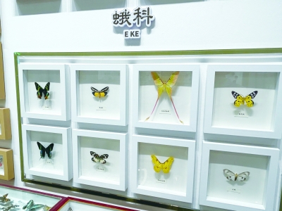 戴庄生物多样性展示馆里的标本。南京日报/紫金山新闻记者 陈燕飞 摄