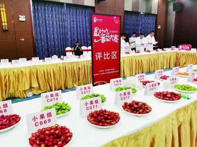 第四届南京市最好吃番茄大赛现场。 南京日报/紫金山新闻记者 刘全民 摄