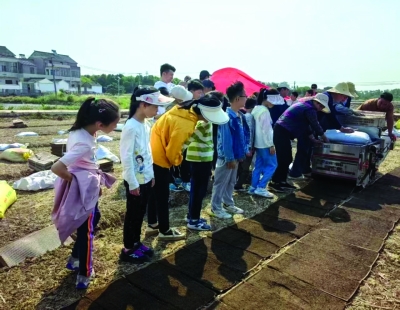 孩子们在江宁湖熟参与机器育秧全程。受访者供图