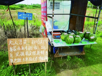 无人瓜摊。 南京日报/紫金山新闻记者 张可 摄