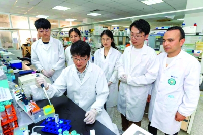 东南大学团队在实验室科研攻关。 受访者供图
