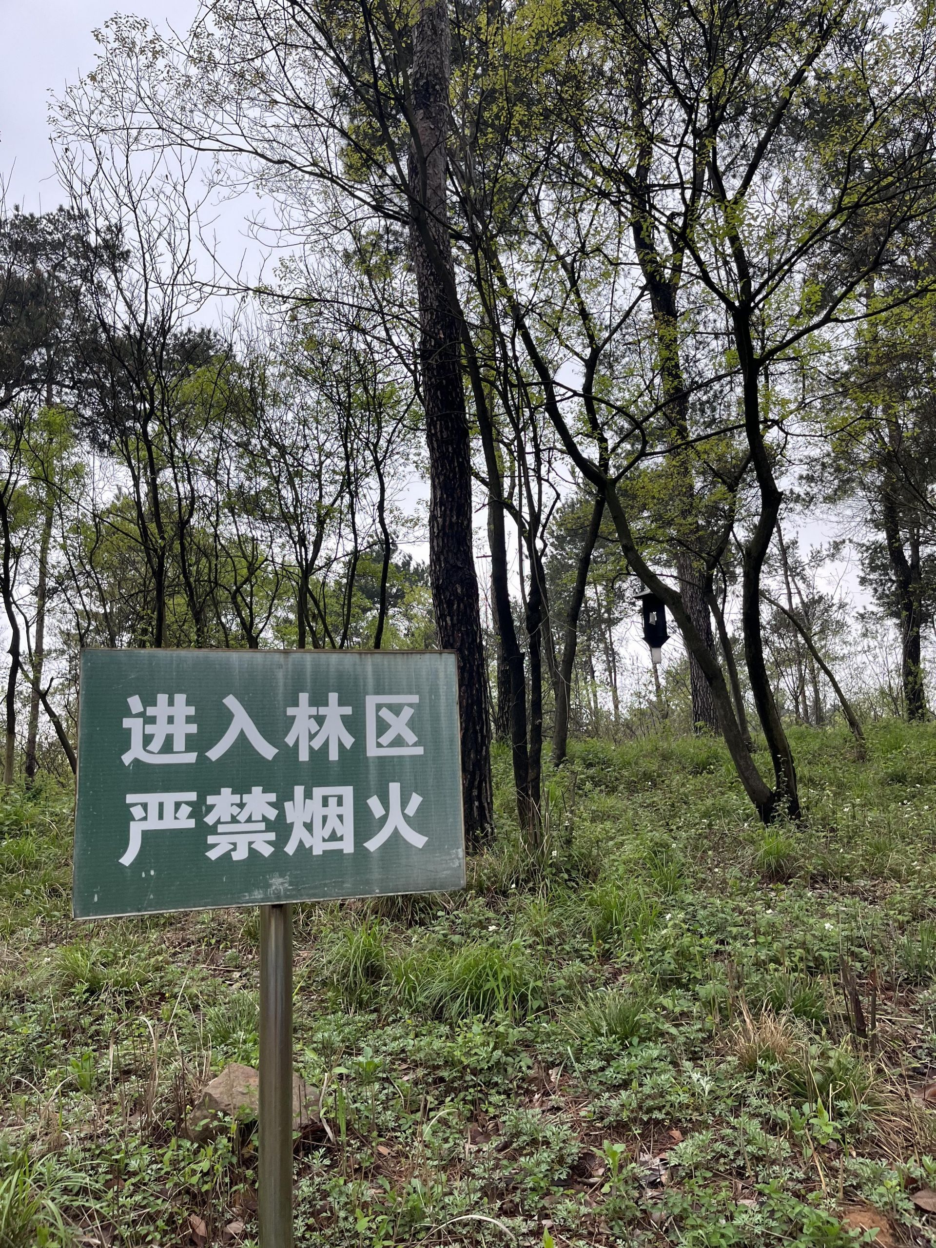 白羊山。资料图片