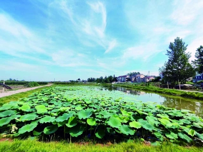 治理修复后的埂边河水清、岸绿、景美。 栖霞区水务局供图