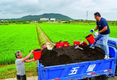 农户将炭基有机肥运输至“零碳稻田”间，准备施肥。