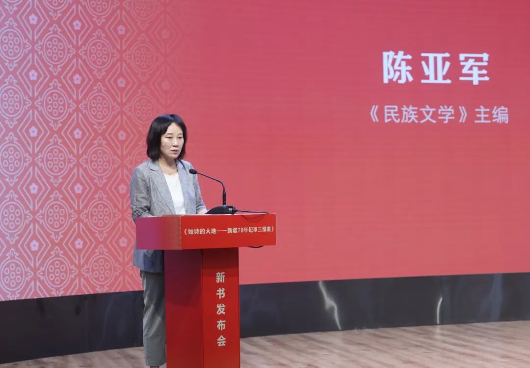 《民族文学》主编陈亚军发言