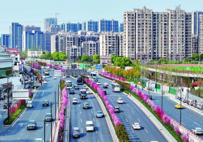 春季时，和燕路快速路沿线种植的桃花盛放，为城市增添一道亮丽风景线。 南京日报/紫金山新闻记者 徐琦 摄