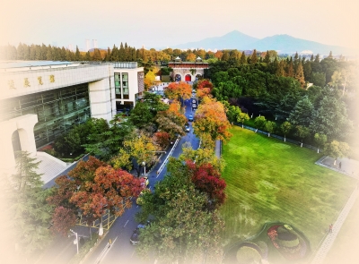 玄武门路两侧乌桕树色彩斑斓，宛如画卷，勾勒出金陵秋日的浪漫韵味。南京日报/紫金山新闻记者 戚珂嘉 摄