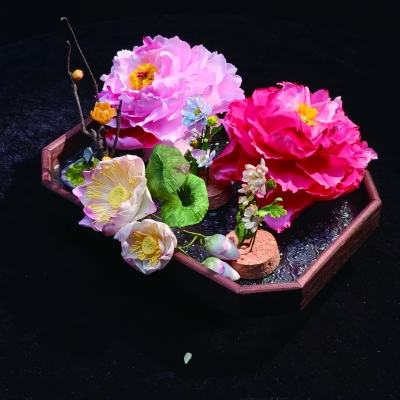 通草花