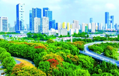 南京日报/紫金山新闻记者 段仁虎 摄