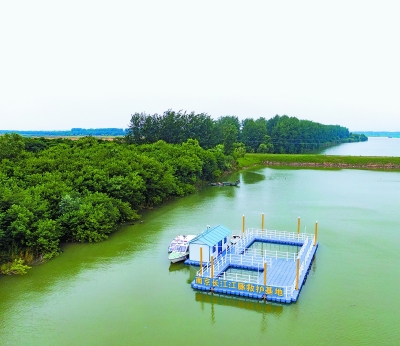 新济洲岛上新建了南京长江江豚救护基地。