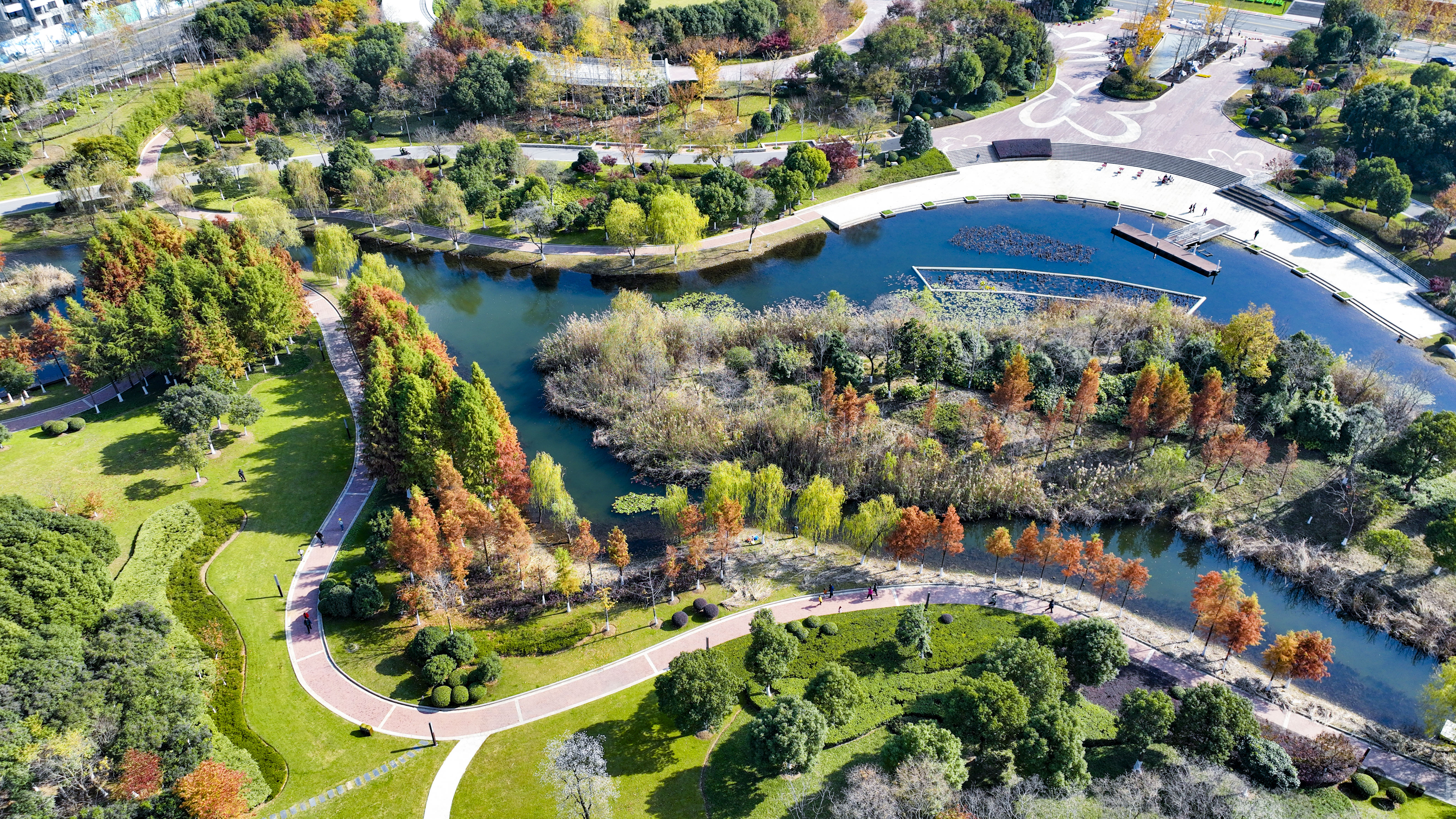 连日来,不少市民来到青奥森林公园附近游玩休闲,欣赏醉人的滨江秋色.