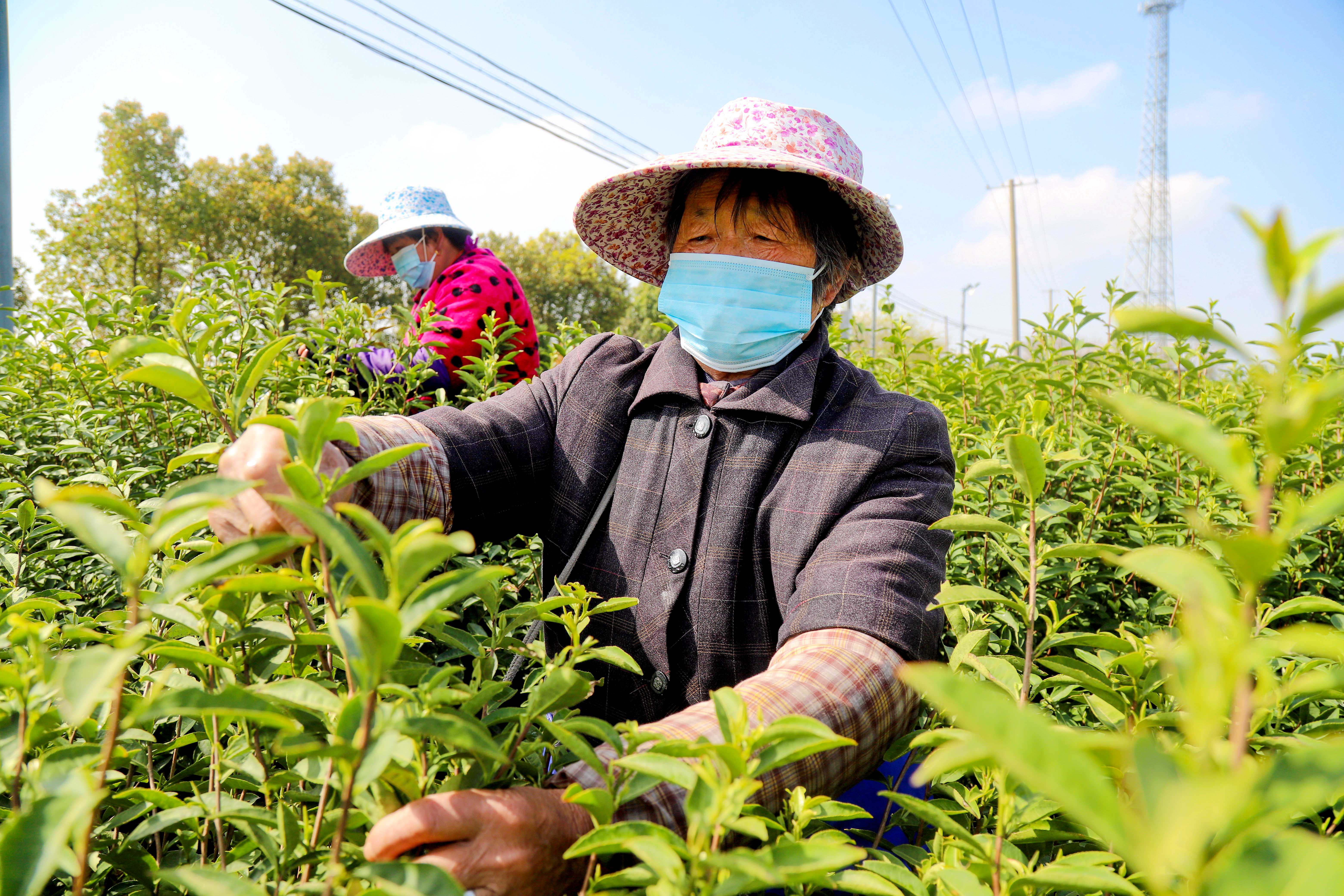 通讯员 孔德伟 南京日报/紫金山新闻记者 段仁虎 摄