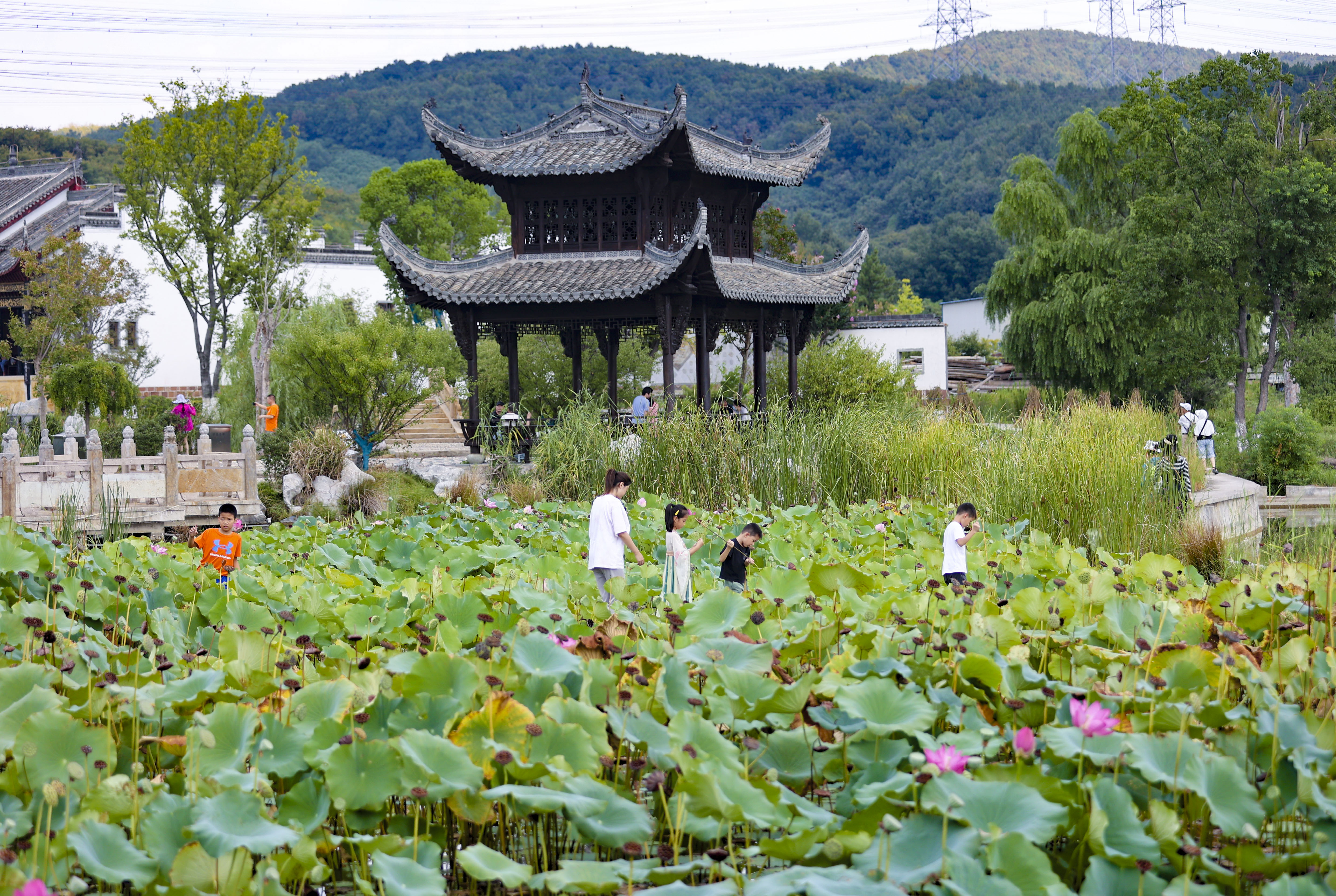 南京溧水山凹村图片