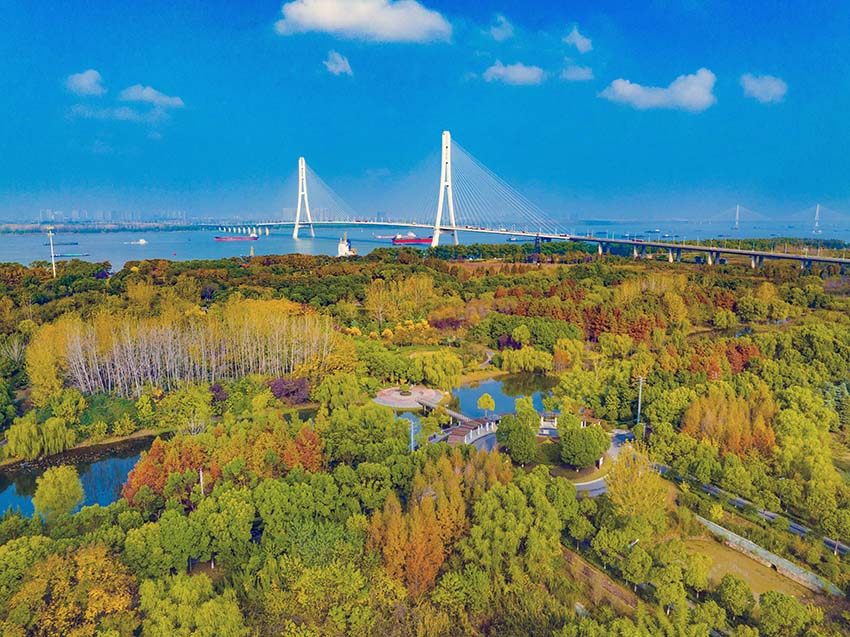 南京三桥湿地公园门票图片