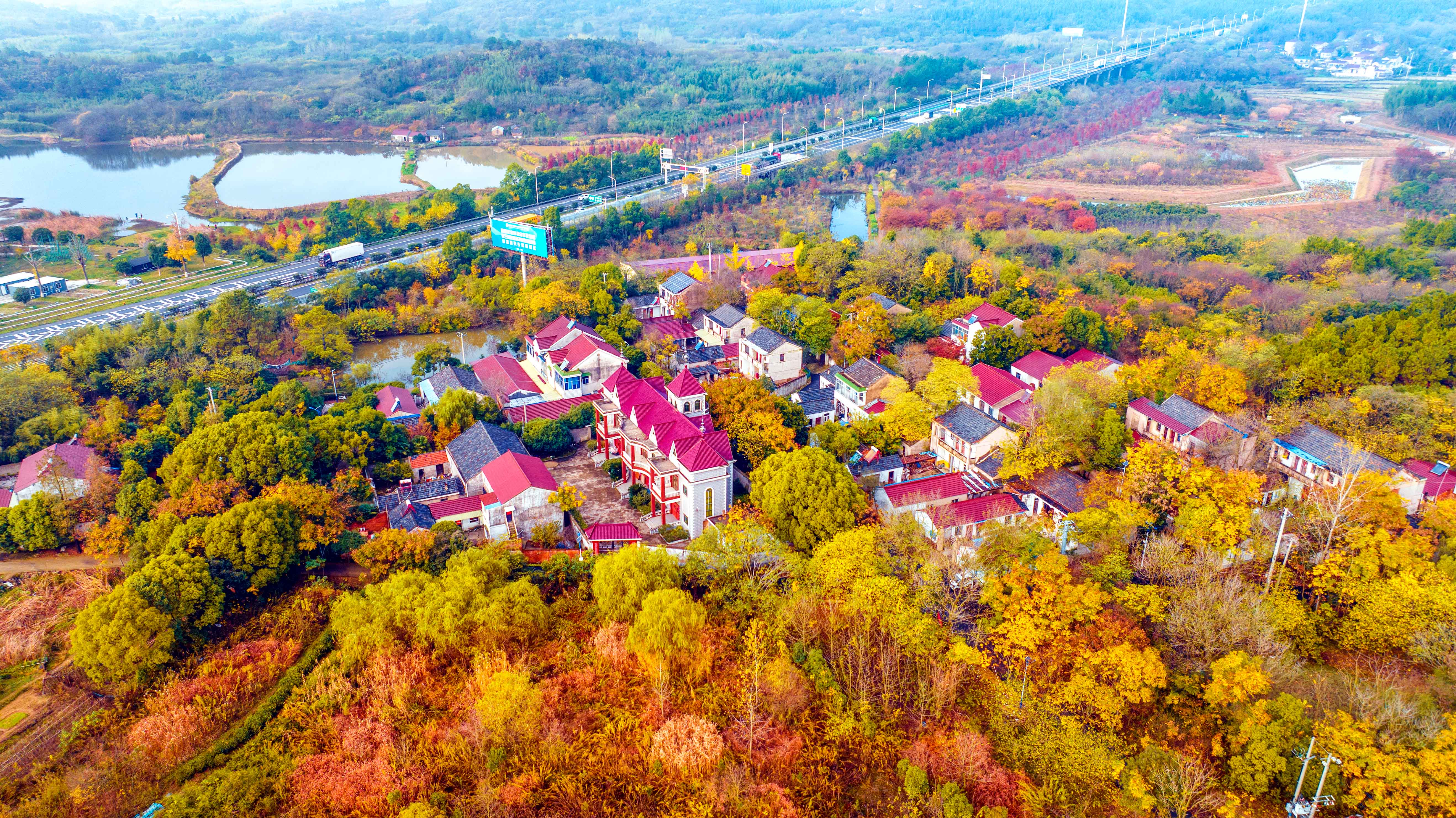 秋冬时节，宁杭高速公路溧水东庐山附近，树木五彩斑斓，乡村宛如美丽画卷。通讯员 朱红生 南京日报/紫金山新闻记者 段仁虎 摄