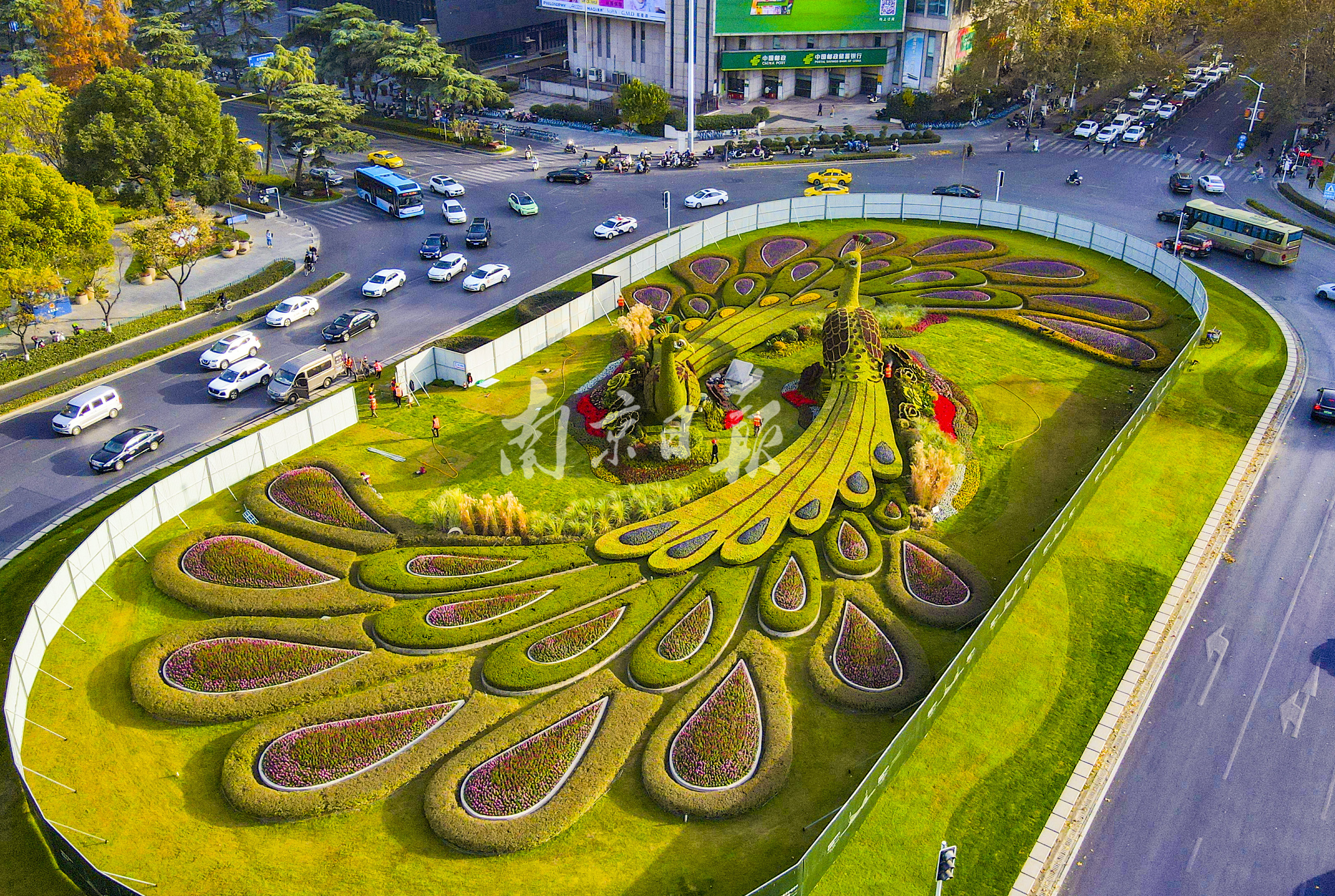 "孔雀"绿雕新装亮相