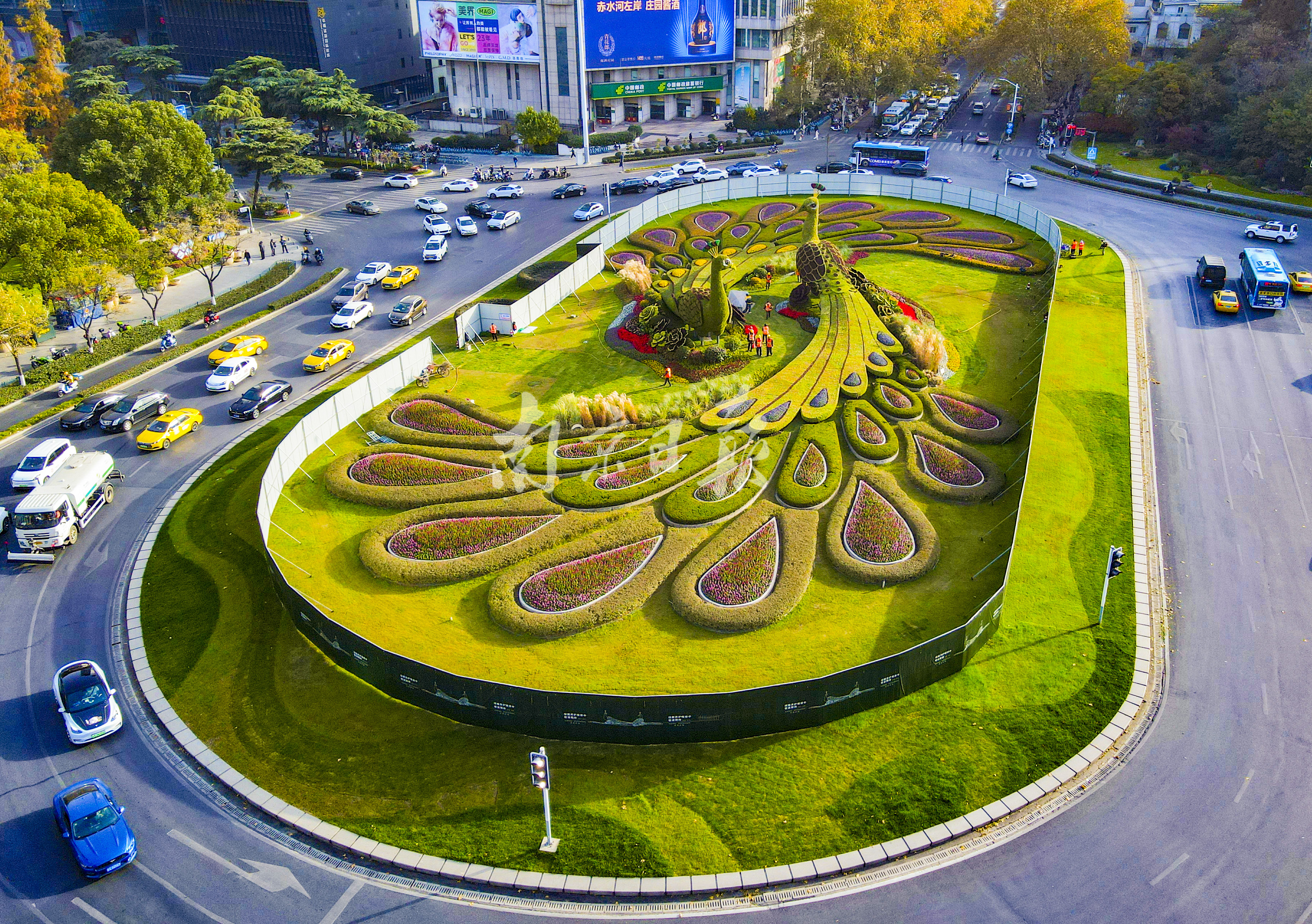 "孔雀"绿雕新装亮相