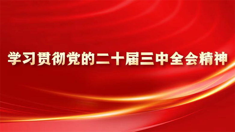 学习贯彻党的二十届三中全会精神