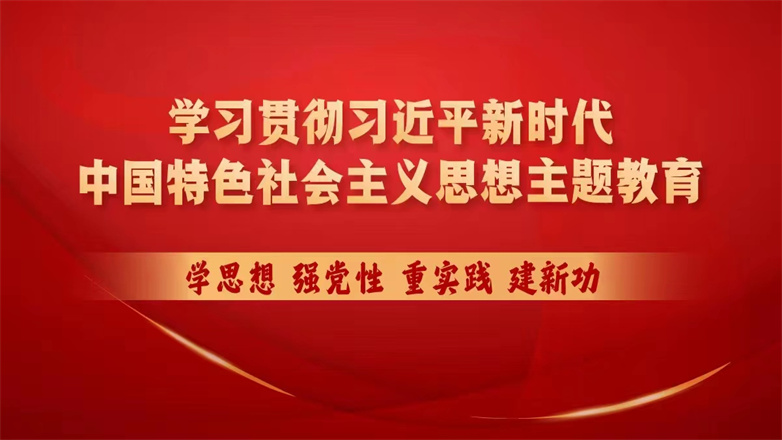 学习贯彻习近平新时代中国特色社会主义思想主题教育