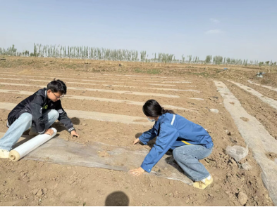 全降解地膜推广应用