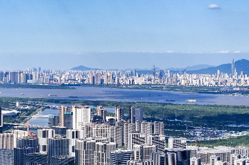 从“多种树，少种草”中读懂城市更新的内涵