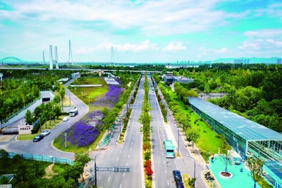 秦新路南侧景观提升工程完工