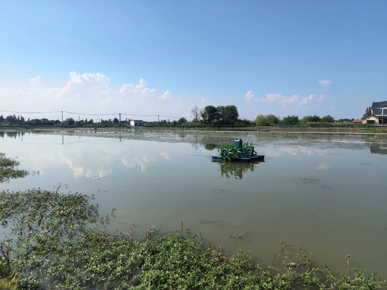 南京良庄农产品有限公司的标准化蟹塘。