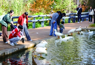 乐园里探索生物多样性