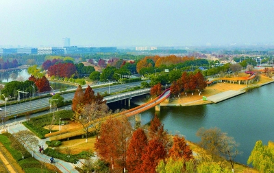 麒麟生态公园冬景醉游人