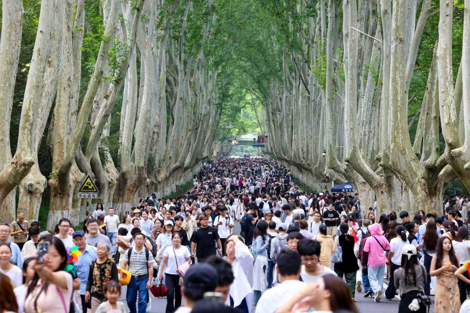 2025，南京的N种精彩——千年古都奏响“诗与远方”新乐章