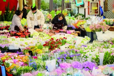 汉中门鲜花市场年宵花迎来销售旺季