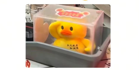 一只小黄鸭，何以戳中人们内心的柔软