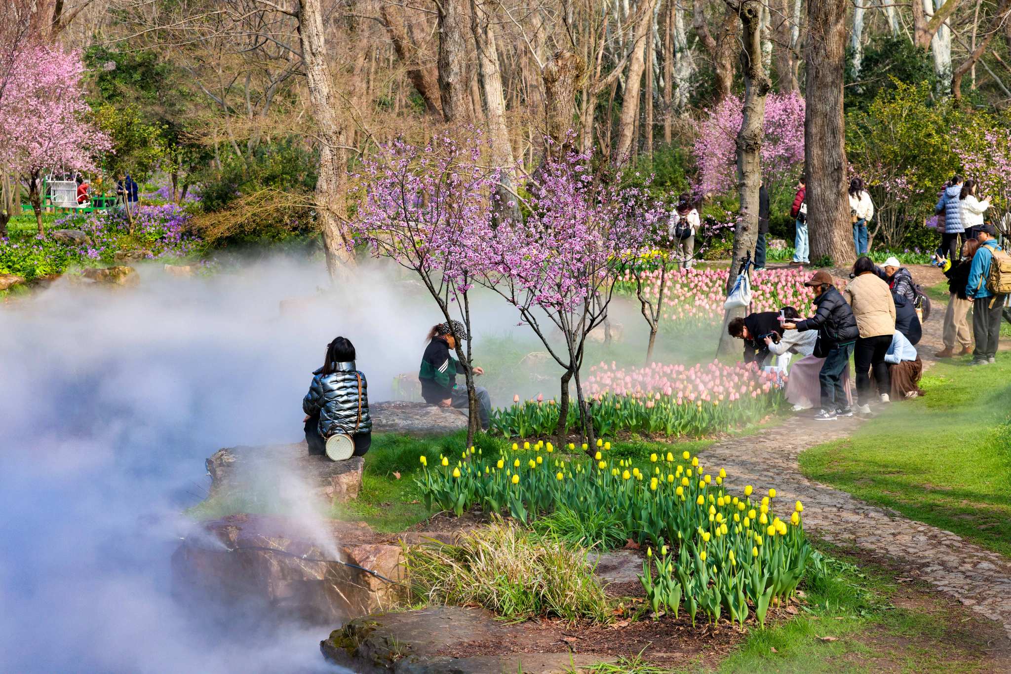 中山植物园美成“莫奈花园”
