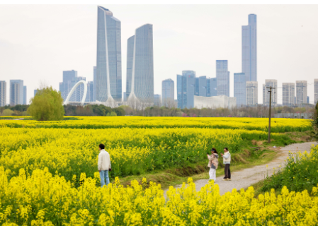 在“色彩漫步”中重新发现南京