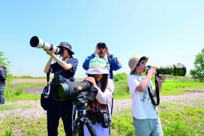 203种！一场观鸟大赛“观”出南京鸟类家底