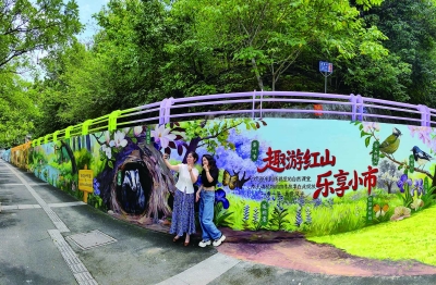 自然科普彩绘墙扮靓环红山片区