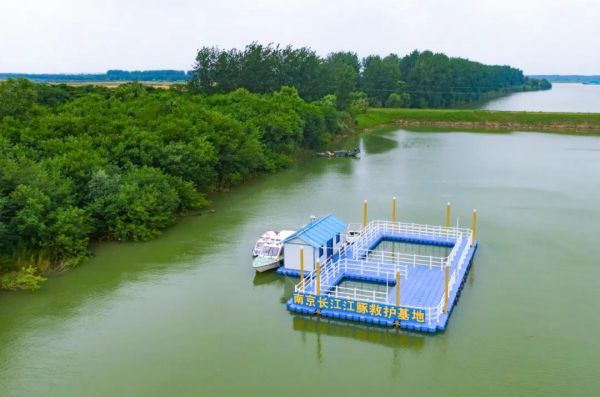 新济州岛上新建了南京长江江豚救护基地。南报融媒体记者 杜文双摄
